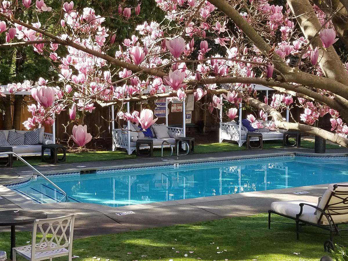 The White House Napa Valley Exterior photo